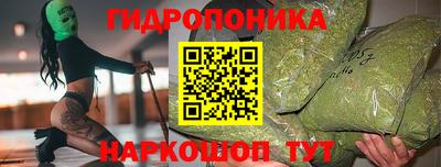 сатива Лесосибирск