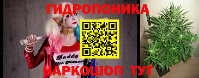 сатива Лесосибирск
