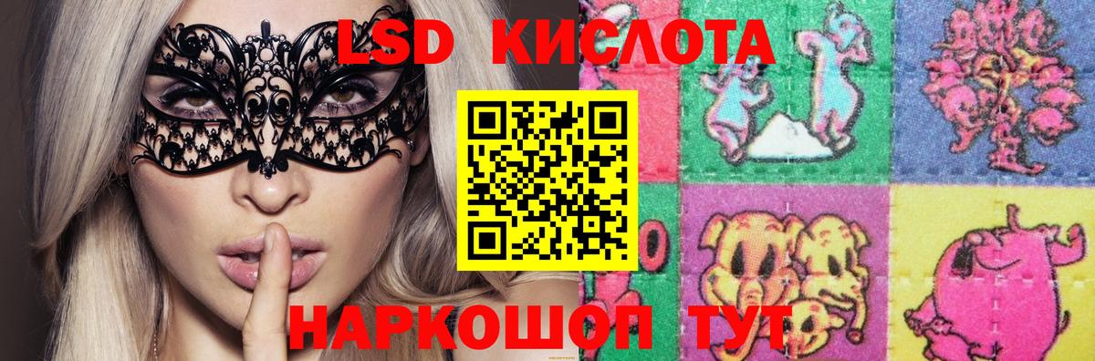 Черногорск  Лсд 25 экстази ecstasy  Лсд 25 экстази кислота  mega как войти  Вход с VPN 