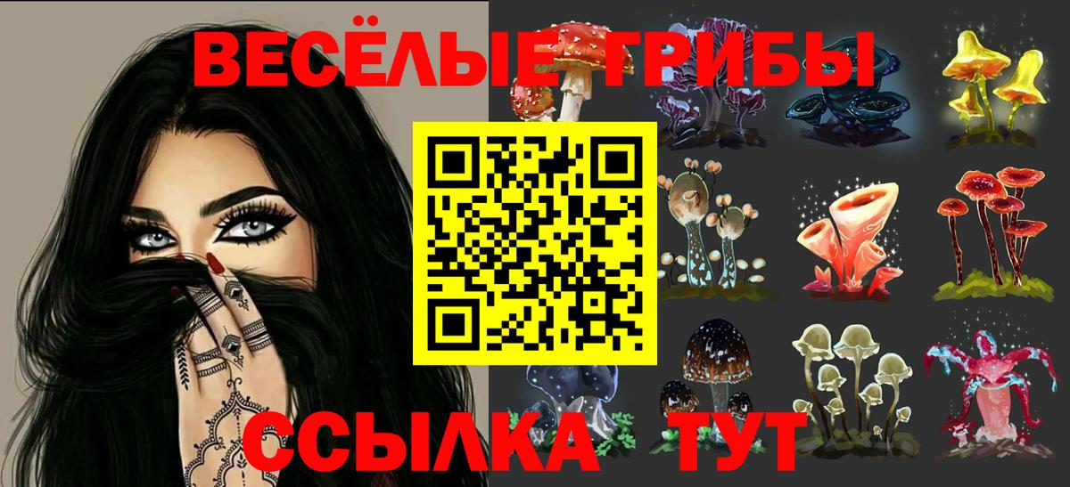 Галлюциногенные грибы прущие грибы  Вход с VPN  Черногорск  Псилоцибиновые грибы мухоморы 